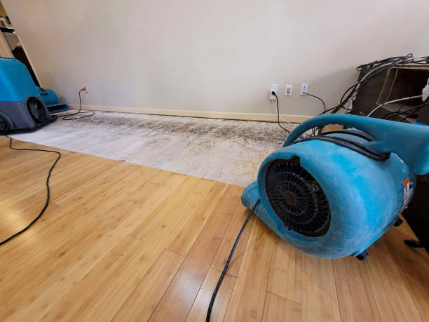 Professional Water Removal technician working in Granger, WA